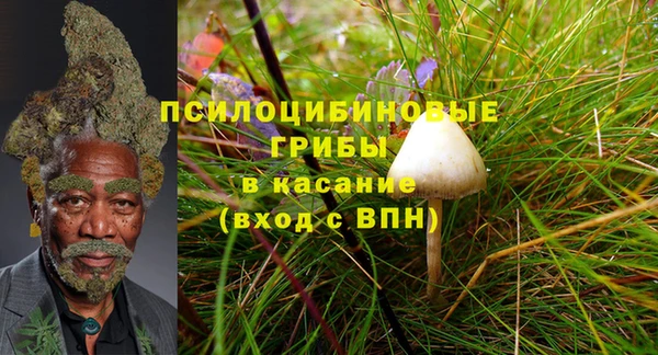 2c-b Алзамай