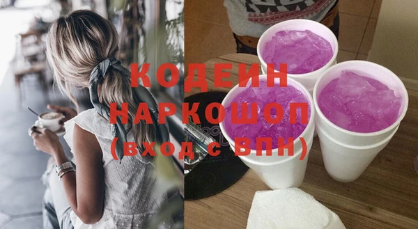 гашик Новодвинск
