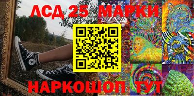 прущие крисы Гатчина
