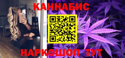 прущие крисы Гай