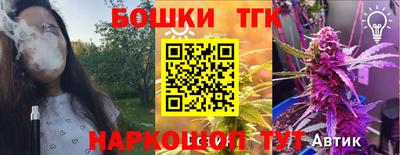 прущие крисы Гай