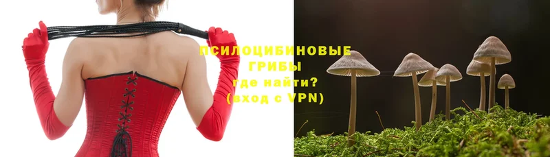 Галлюциногенные грибы MAGIC MUSHROOMS  цена наркотик  Кохма 