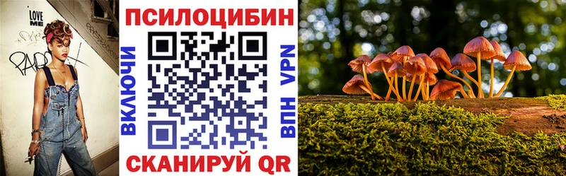 купить наркоту  Кохма  Галлюциногенные грибы Psilocybe 